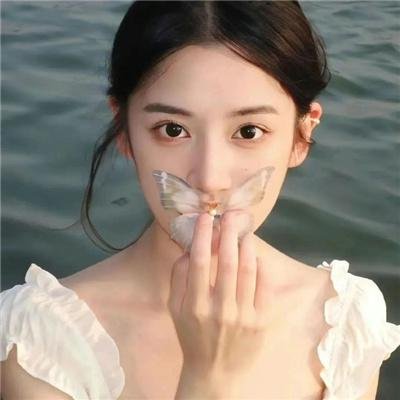 明月守护者